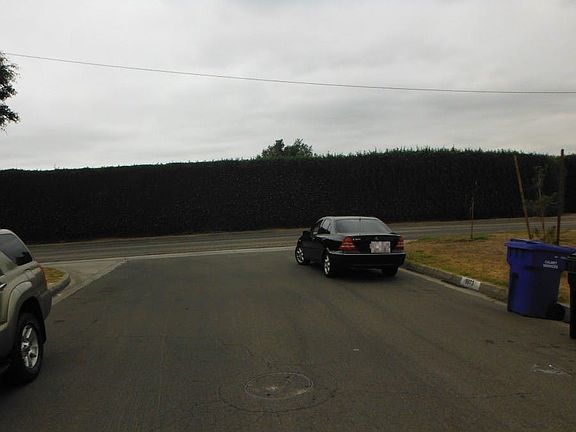 4th image of 9070 Lemoran Ave