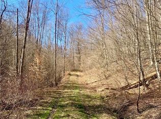 Chapman Rd #35, Great Valley, NY 14741