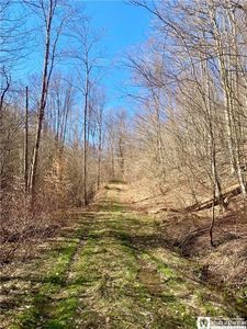 Chapman Rd #35, Great Valley, NY, 14741