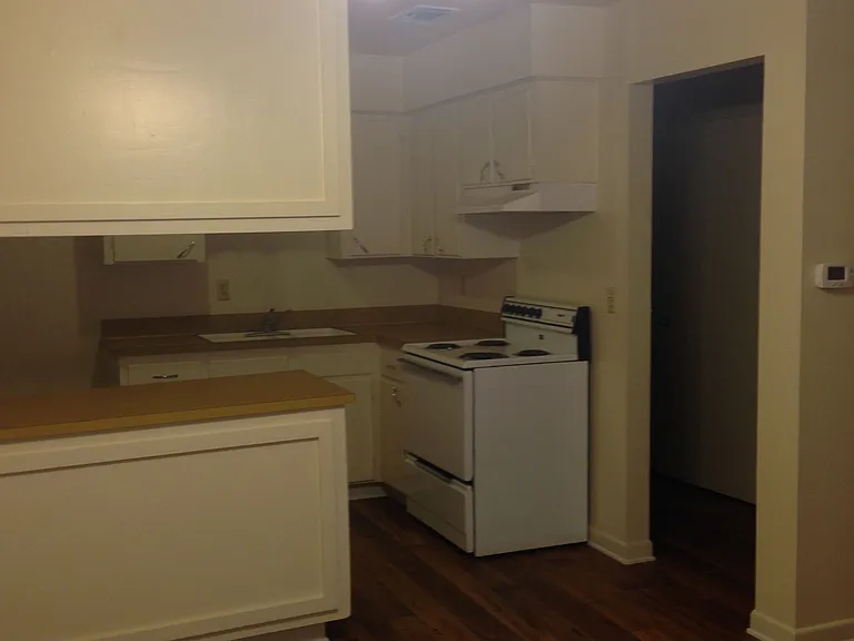 302 S Bridge St #302 — Photo 4