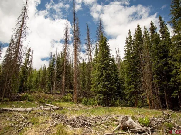 TBD Forest Service Road 504, Creede, CO 81130