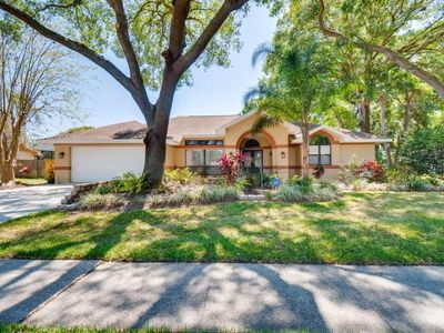 3819 Buckingham Loop Dr, Valrico, FL, 33594