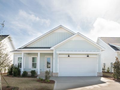 49 Green Heron St, Rosemary Beach, FL, 32461