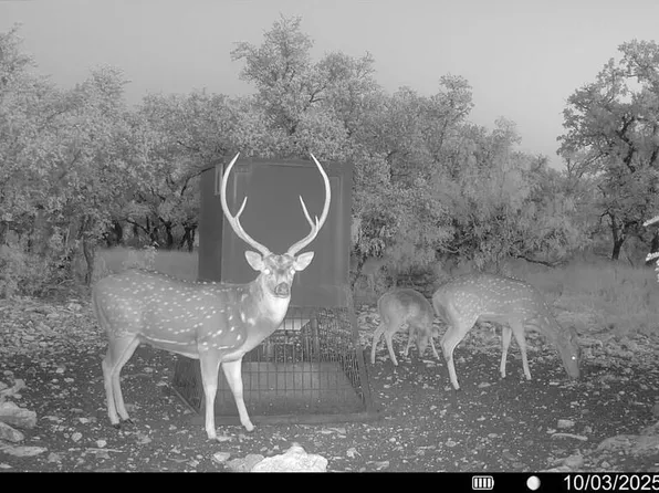 (undisclosed Address), Menard, TX 76859