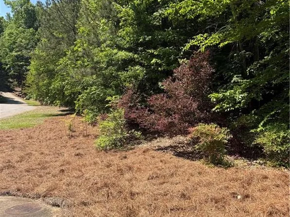 702 Windsor Estates Way #114, Canton, GA 30115