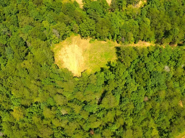 146 County Road 477, Englewood, TN 37329