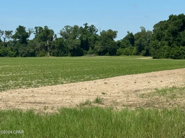 Wolf Pond Rd, Bascom, FL 32423