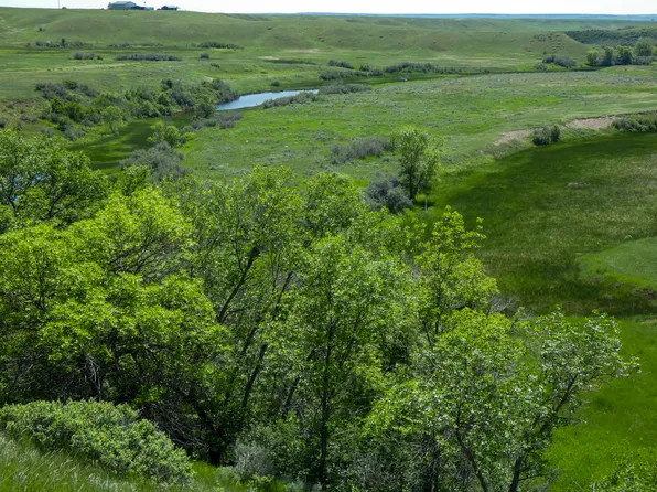 Nhn Dry Forks Rd Lot Wp001, Wolf Pt, MT 59201