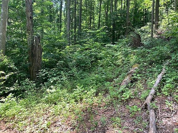 3rd image of 3392 Grand Country Dr