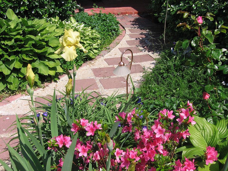 Front  walkway gardens