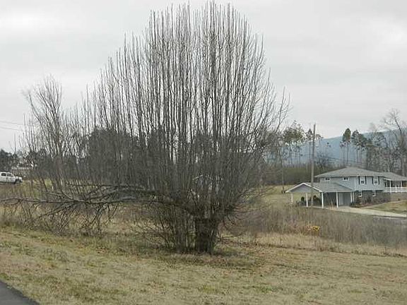 3rd image of 20 Glenwood Dr