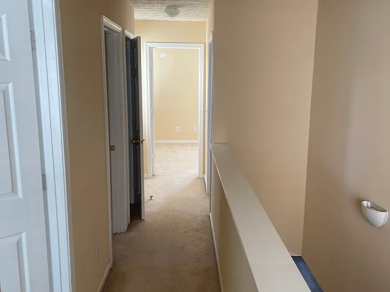 1281 Matt Moore Ct — Photo 10