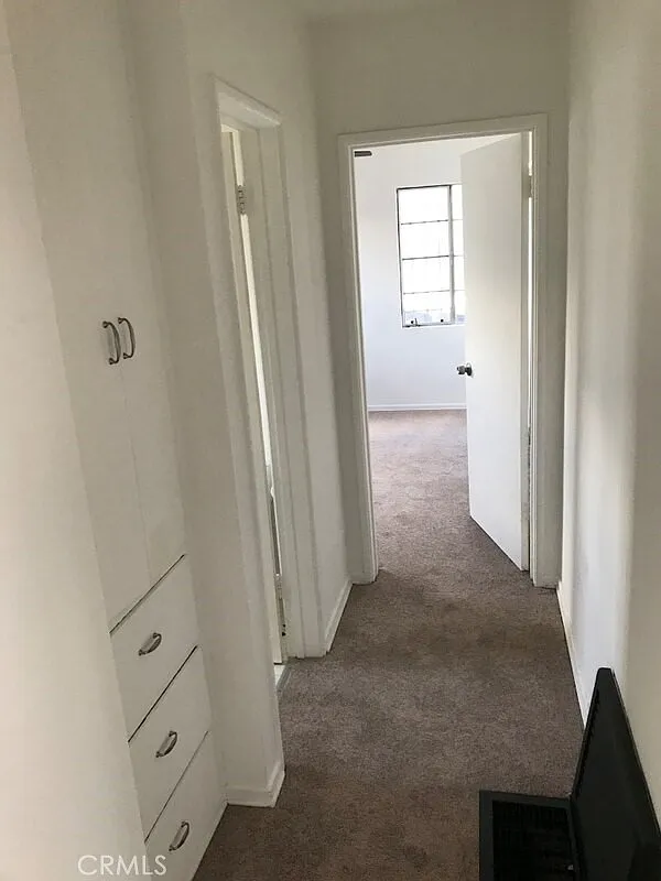 2 bed, 893 sqft, $2,600 — Photo 3