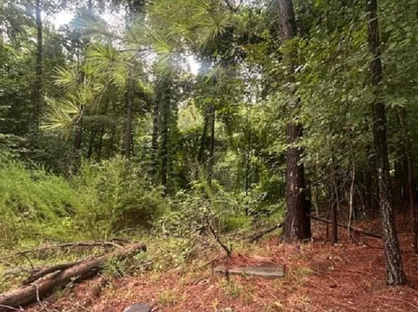 308 Bryars Ct #39, Lexington, SC 29072