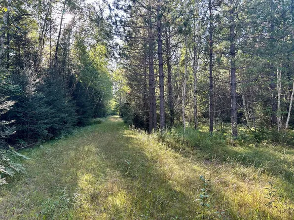 4808 Alderton Rd, Laona, WI 54541