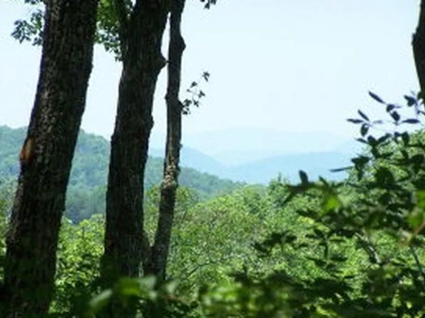 103 Weber Way, Brasstown, NC 28902