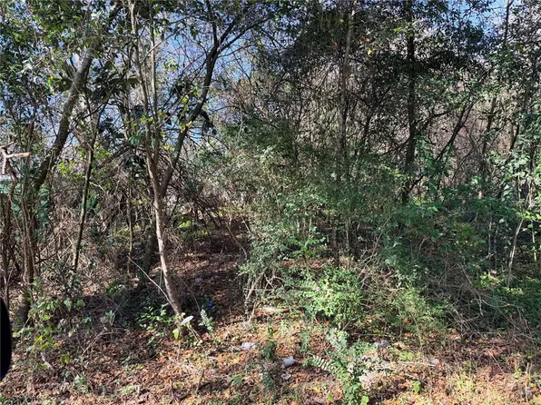 NW 151st Ave Lot 36, Alachua, FL 32615