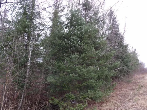 40 Acres Off Knapp Road, Winter, WI 54896