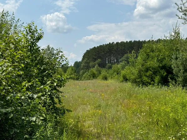 2071 Simpson Rd, Mercer, WI 54547