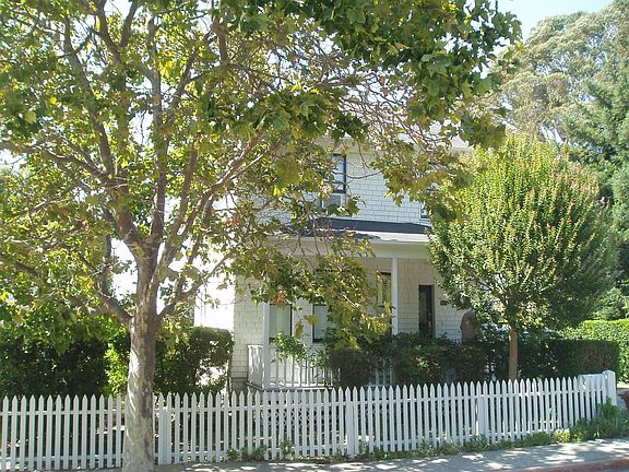 Mature Treelined Street