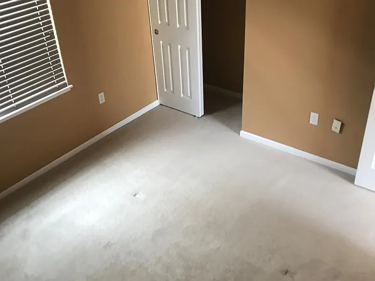 1202 Cosmos Ct — Photo 6
