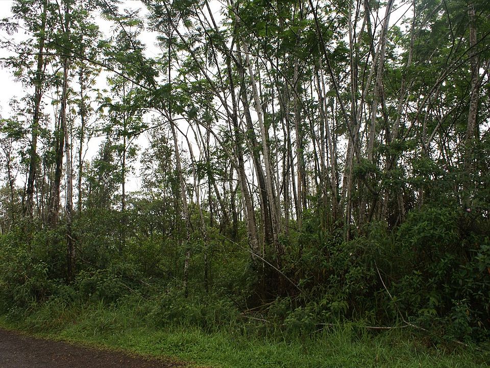 1st image of King Kamehameha Blvd Lot 16
