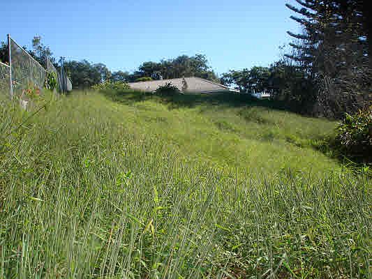 1st image of Puu Nohea St Lot 157