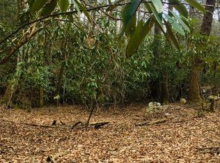 Cutcane Rd, Mineral Bluff, GA 30559