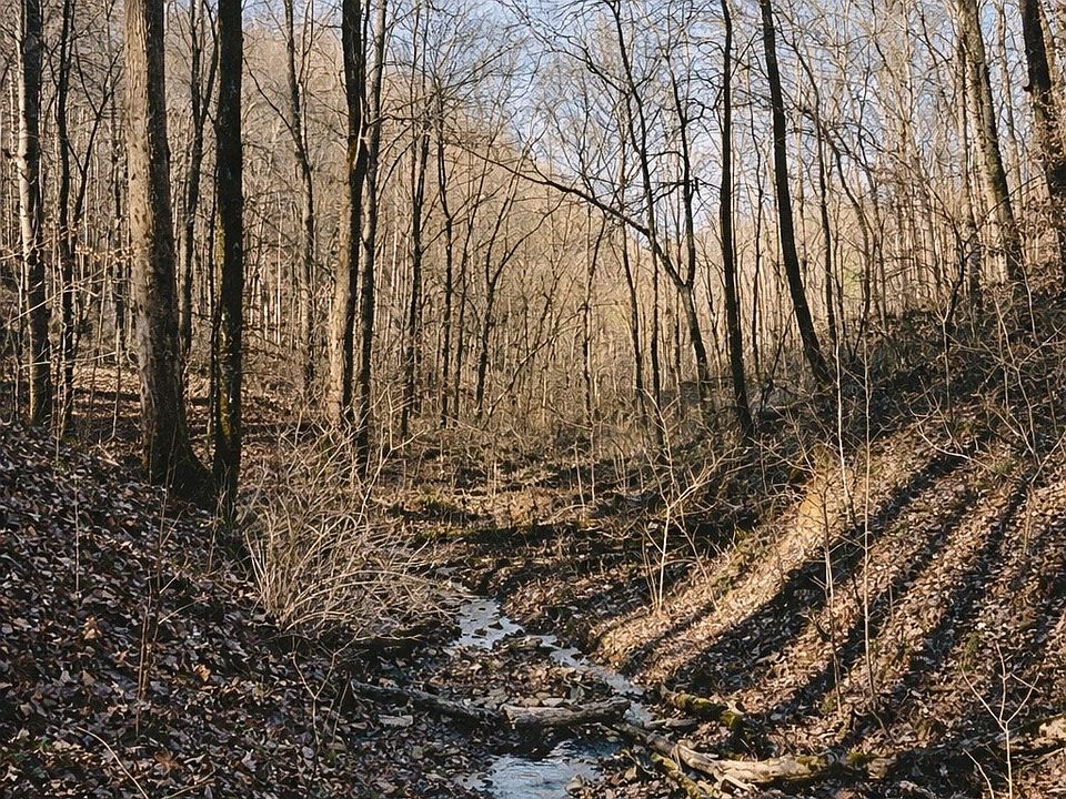 16th image of 0 Hollis Creek Rd S