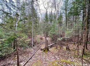 Merwin Creek Rd, Manistique, MI 49854