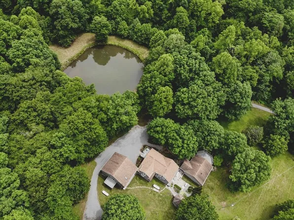 1162 Mountain Springs Rd, Tannersville, VA 24377