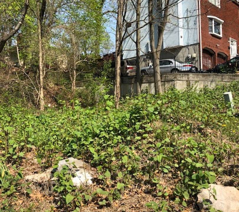 1st image of 89 Patmore Ave