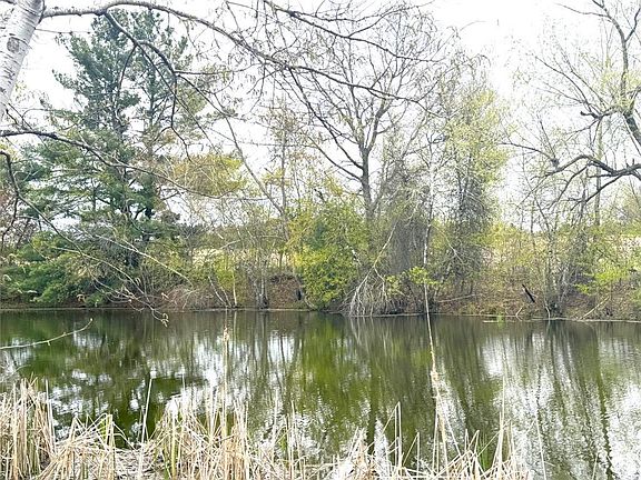 4th image of 74 acres Sand Prairie Rd.