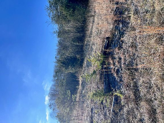 3rd image of 1581 Lower Caney Valley Rd