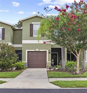 2813 Santego Bay Ct, Brandon, FL, 33511