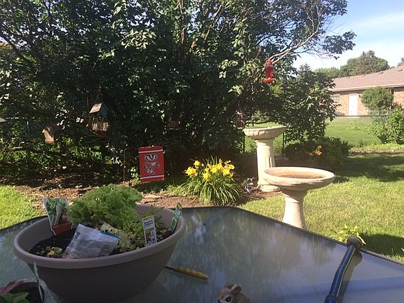 Patio/Grilling Area