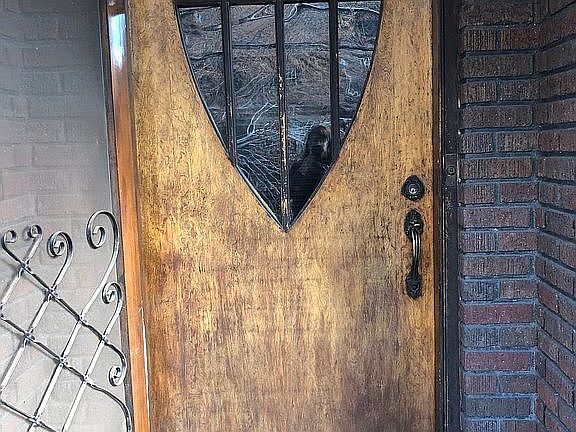 Front  door