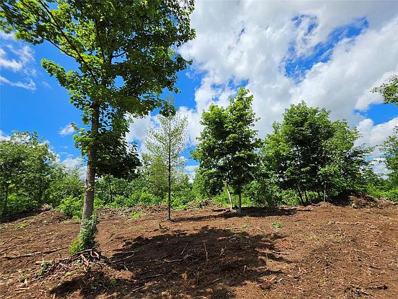 4th image of Lot 8 370th Avenue