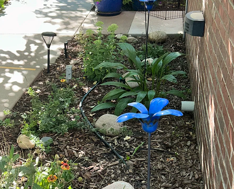 Flowerbed maintained by owner