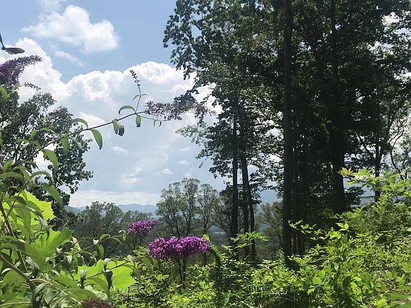 View from driveway
