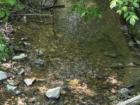 3rd image of 806 Brandon Hollow Rd