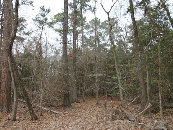 5th image of R 12227 Plantation Dr