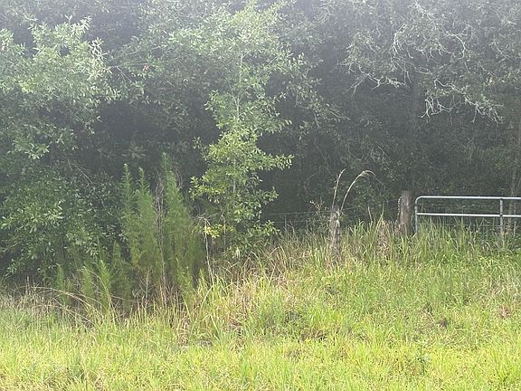 5th image of 16687 NW 38th Avenue