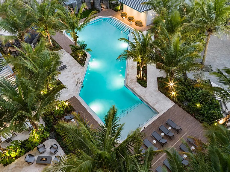 Palm-lined pool design with sculpted lines, layered lighting, and warm wood decking shaping a resort-inspired courtyard.