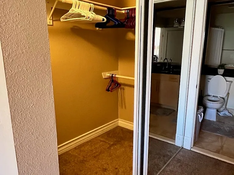 210 E Flamingo Rd #316 — Photo 7