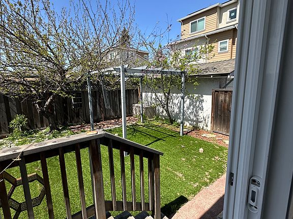 Fenced in private backyard with fruit trees