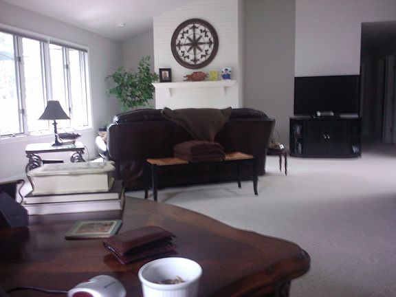 Living w fireplace