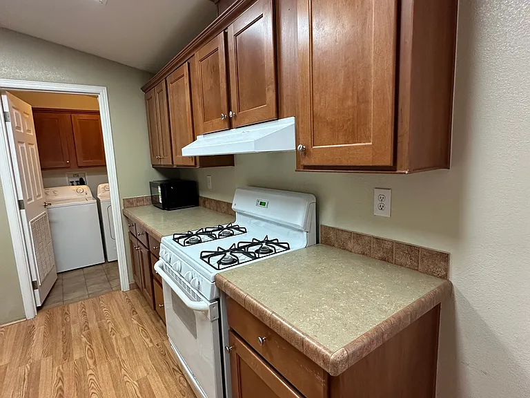 1888 Sarafina Dr — Photo 8