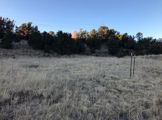 564 Little Smokey Rd, Capitan, NM 88316