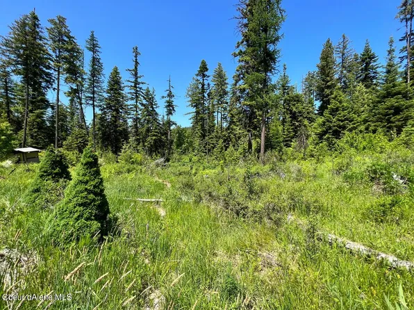 521 Crestview Ln, Plummer, ID 83851